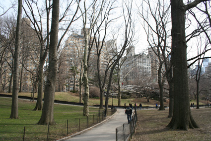 central park central park